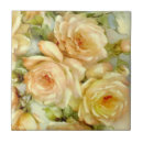 Search for peace rose Floral