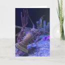 Search for lobster cards Fish
