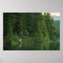 Search for national forest posters Woods