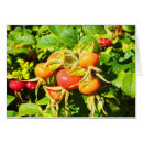 Search for hips cards Nature