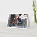 Search for bassets cards Cat