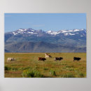 Search for snow covered mountain posters Scenic