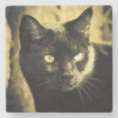 Search for black cat coasters Meow