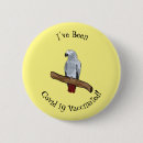 Search for african greys badges African grey parrot