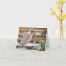 Search for 17 year old birthday cards Funny