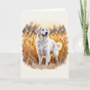 Search for yellow labrador birthday cards Pets