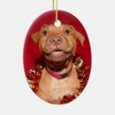 Search for pup christmas tree decorations Happy