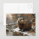Search for winter painting postcards Landscape