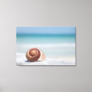 Search for florida seashells art Coast
