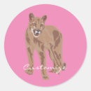 Search for puma stickers Mountain lion