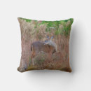 Search for wildlife cushions Animal lover
