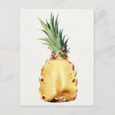 Search for half postcards Vintage