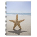 Search for massachusetts Summer