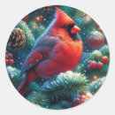Search for cardinal in winter stickers Bird