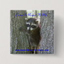 Search for racoon badges Baby