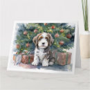 Search for bernedoodle cards Animal