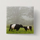 Search for misty badges Nature