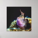 Search for undersea art Nature