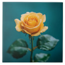 Search for single tiles Rose