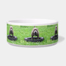 Search for playing pet supplies For pets