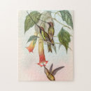 Search for hummingbird puzzles Ornithology