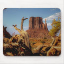 Search for monument mousepads Southwest