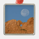 Search for colorado springs christmas tree decorations Landscape