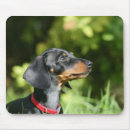 Search for black haired mousepads Black and tan
