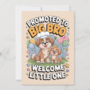 Search for brother birth announcement cards Promoted to big brother