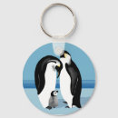 Search for penguin key rings Nature