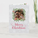 Search for mail seasonal cards Winter holiday