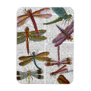 Search for dragonfly magnets Contemporary