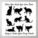 Search for spayed posters Animals