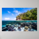 Search for undersea art Beach