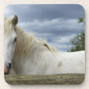 Search for looking at camera coasters Rural scene
