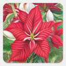 Search for red and white poinsettias stickers Floral