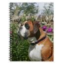 Search for boxer dog notebooks Bob and pam langrish