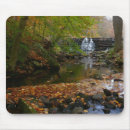 Search for creek fall mousepads Landscape