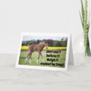 Search for 13th for a nephew birthday cards Grandson
