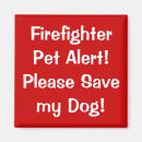 Search for alert magnets Dog