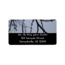 Search for storm return address labels Nature