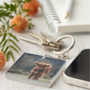Search for cows key rings Calf
