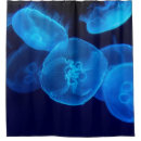 Search for jellyfish shower curtains Nature