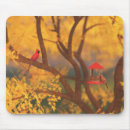 Search for guardian mousepads Autumn