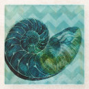 Search for turquoise coasters Seashell