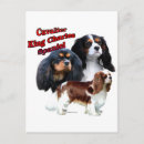 Search for ckc postcards Spaniel