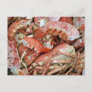 Search for shellfish postcards Sea