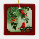 Search for red bird christmas tree decorations Holly berries