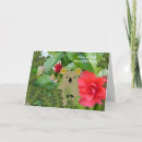 Search for koala bear birthday cards Koalas