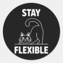 Search for flexible stickers Chakra